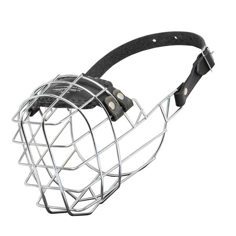 'The Silecer' Wire Cage Collie Muzzle With One Strap