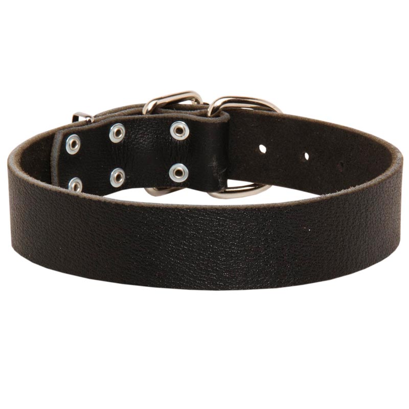 Wide Leather Collie Collar for Training and Walking