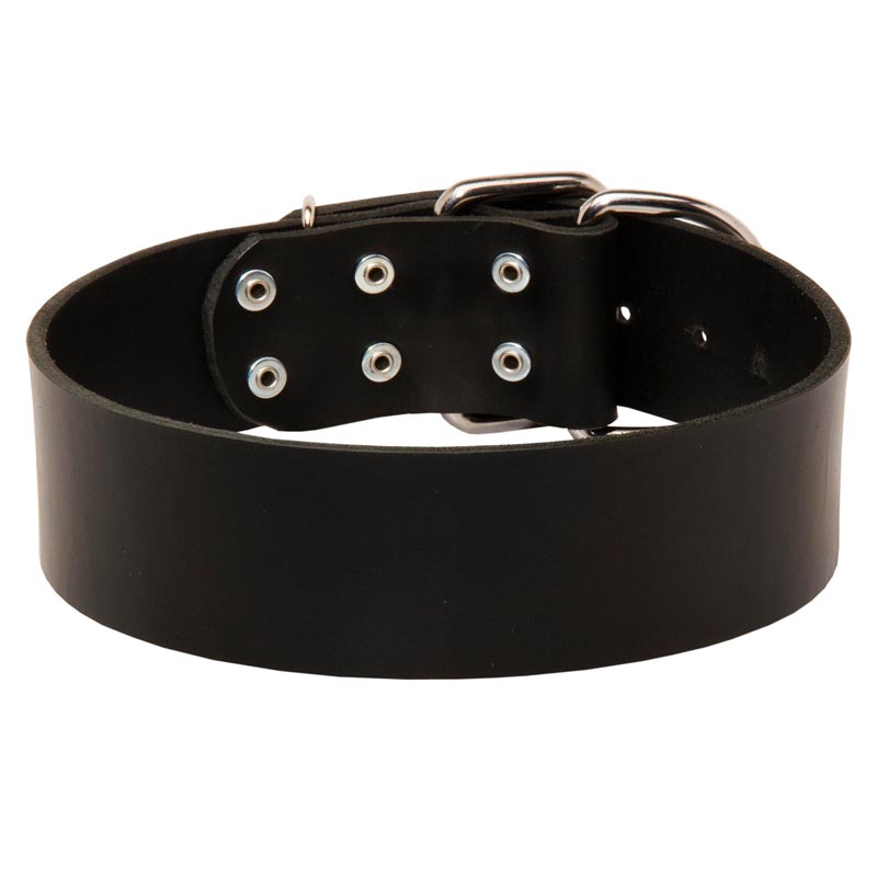 Extra Wide Leather Collie Collar for Professional Training [C51121