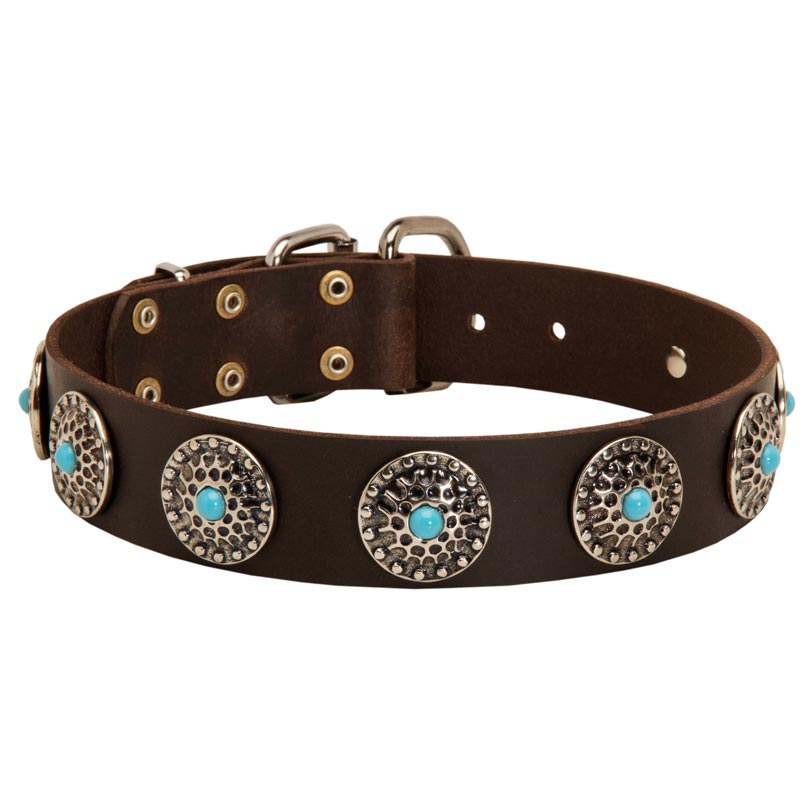 Leather Collie Collar with Blue Stones for Stylish Walking