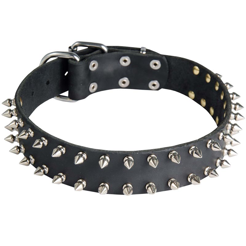 Leather Collie Collar with 2 Rows of Nickel Spikes