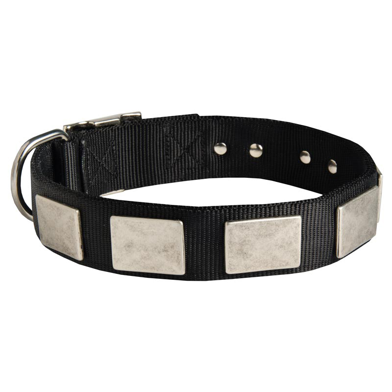 Nylon Collie Collar Massive Nickel Plates