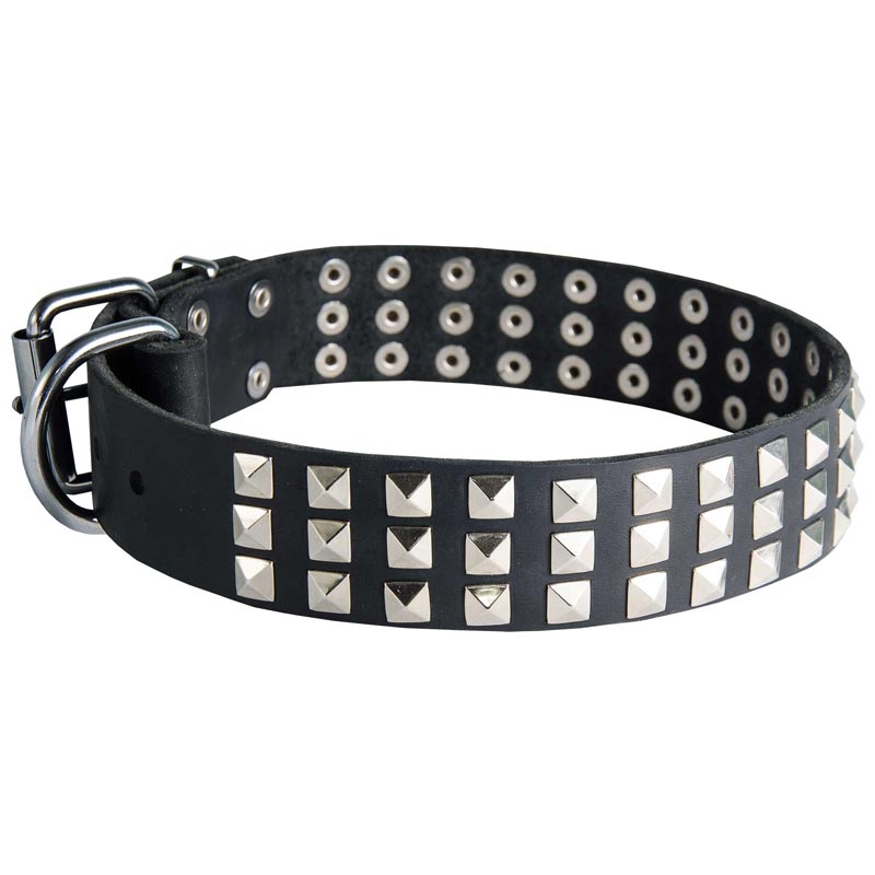 Leather Collie Collar with 3 Rows of Nickel Pyramids