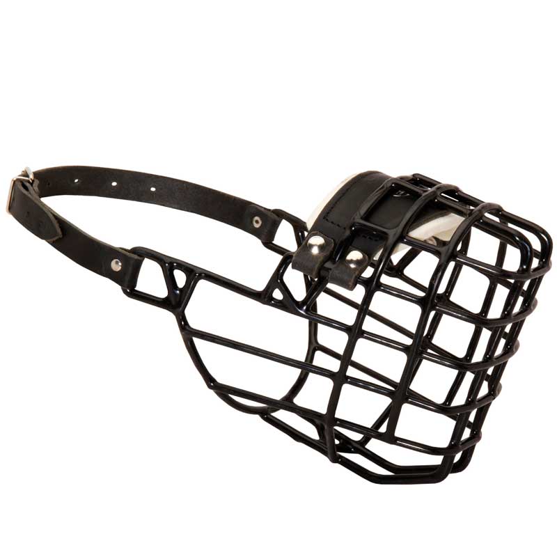 Frost-Resistant Wire Cage Collie Muzzle with One Adjustable Strap