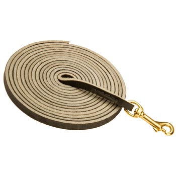 Training Leather Collie Leash