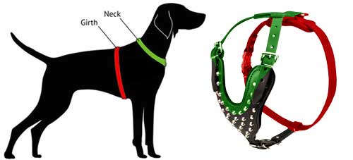 how-to-measure-harness