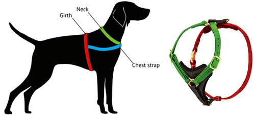 how-to-measure-harness